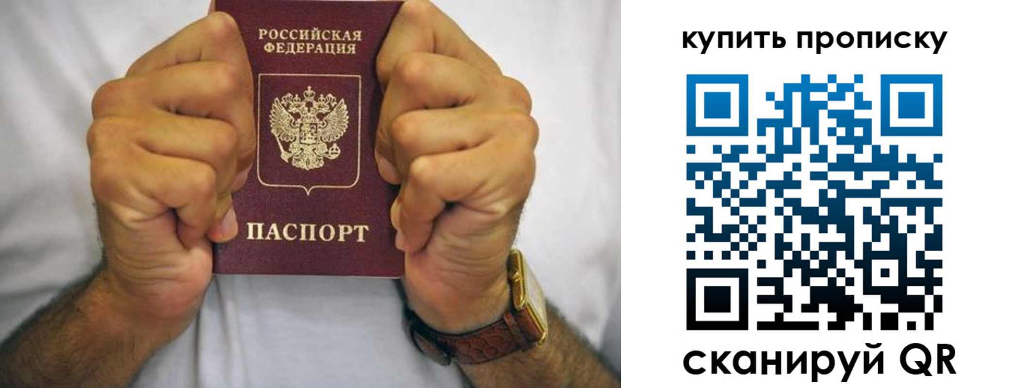 пропишу в квартире в Ставрополе